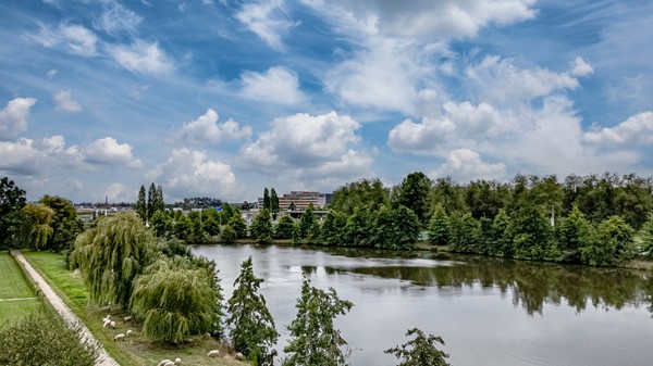 Foto - Te koop: Aalscholversingel 386, 6883 BR Velp